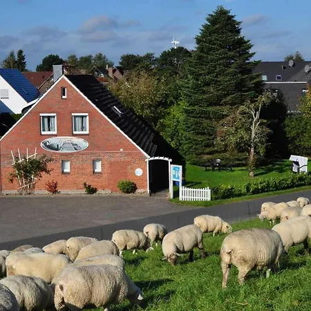 Borkum * Schillig